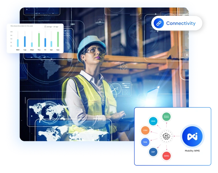 Enterprise Software Integrations