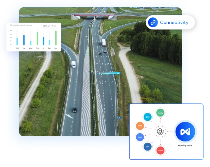 Enterprise System Integrations